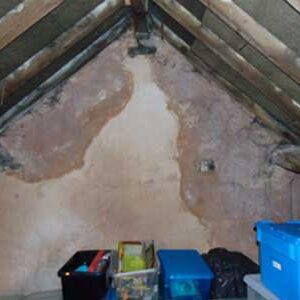 damp roofspace